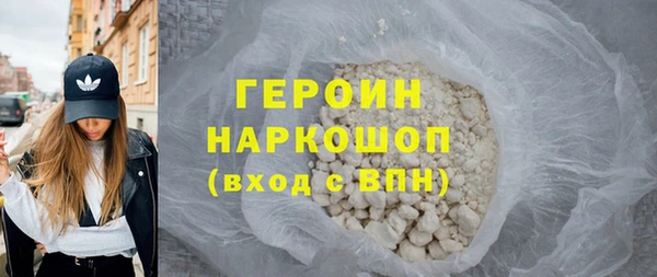 сатива Новозыбков