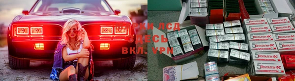 сатива Новозыбков