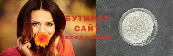 сатива Новозыбков