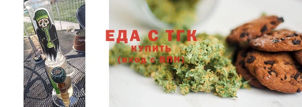 сатива Новозыбков