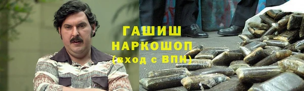 сатива Новозыбков