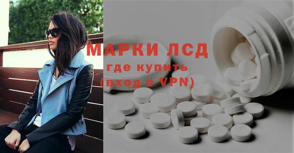 сатива Новозыбков
