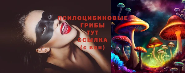 мдма Новодвинск