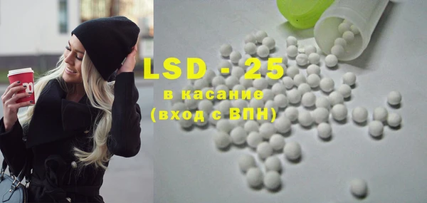 сатива Новозыбков