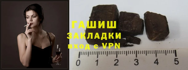 сатива Новозыбков