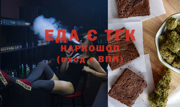 сатива Новозыбков