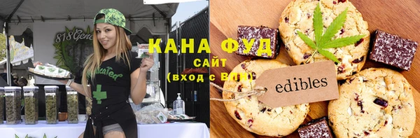 сатива Новозыбков