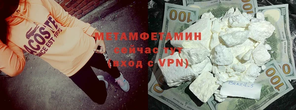 сатива Новозыбков