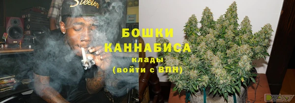 ПСИЛОЦИБИНОВЫЕ ГРИБЫ Ельня