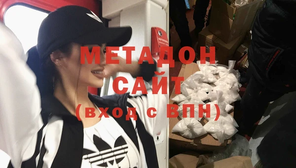 сатива Новозыбков