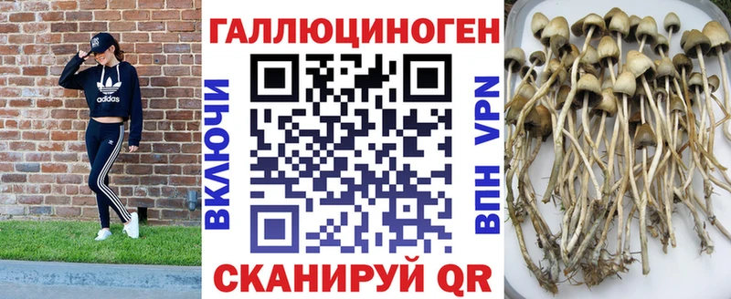 Галлюциногенные грибы мухоморы  цена   Кузнецк 