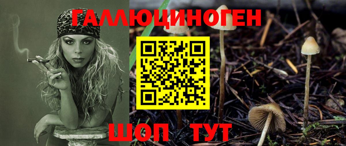 Галлюциногенные грибы MAGIC MUSHROOMS  Галлюциногенные грибы мицелий  Кузнецк  Вход с VPN 